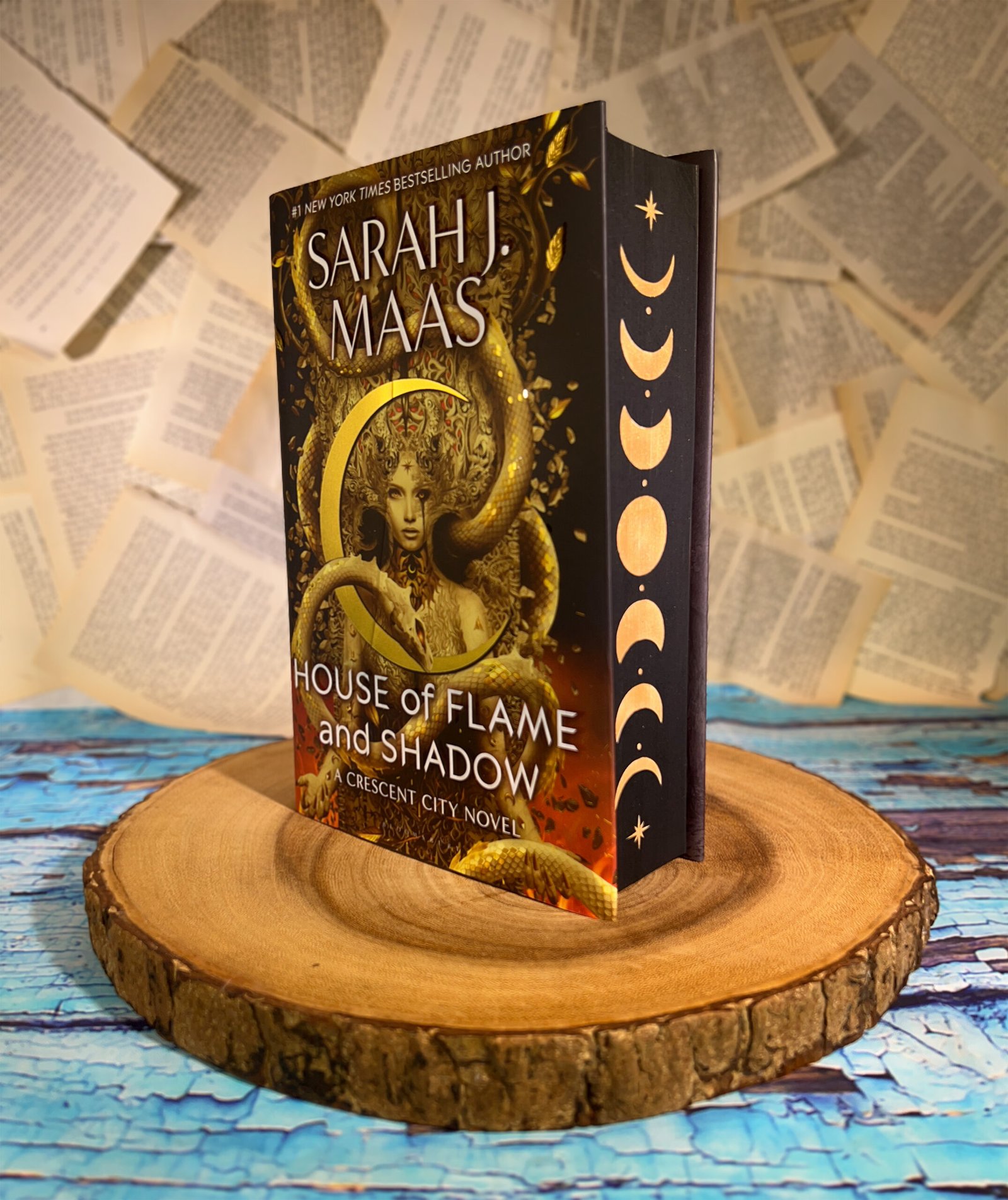 Crescent City Series (HOEAB, HOSAB, HOFAS) by Sarah J. Maas - Image 10