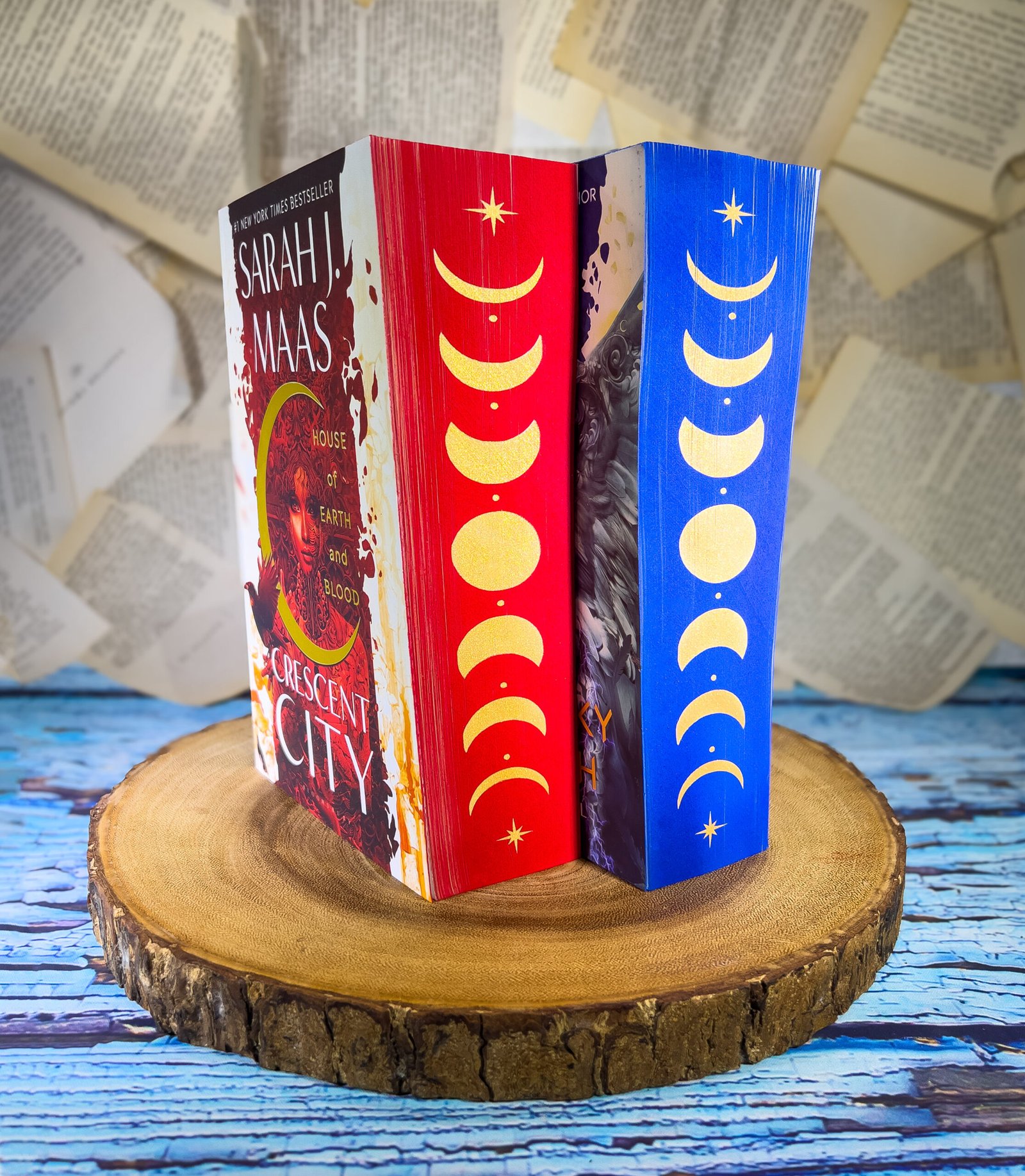 Crescent City Series (HOEAB, HOSAB, HOFAS) by Sarah J. Maas - Image 12