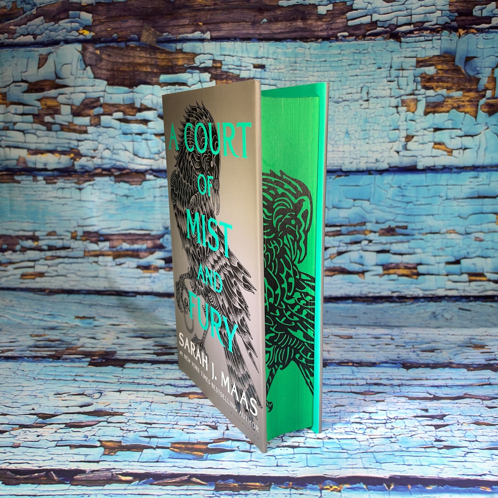 A Court of Thorns and Roses by Sarah J. Maas - Image 5