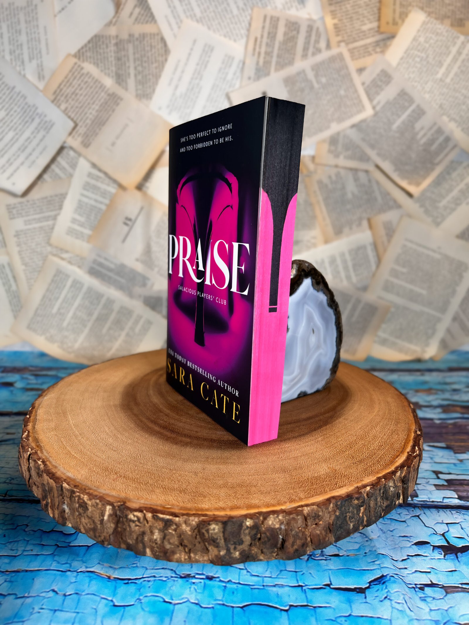 Salacious Player's Club (Praise, Eyes On Me, Give Me More, Mercy, Highest Bidder, and Madame) by Sara Cate - Image 7